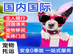 株洲芦淞航空货运国际宠物托运 【国