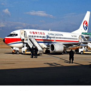株洲芦淞航空货运航空快运业稳步发展的原因是什么？